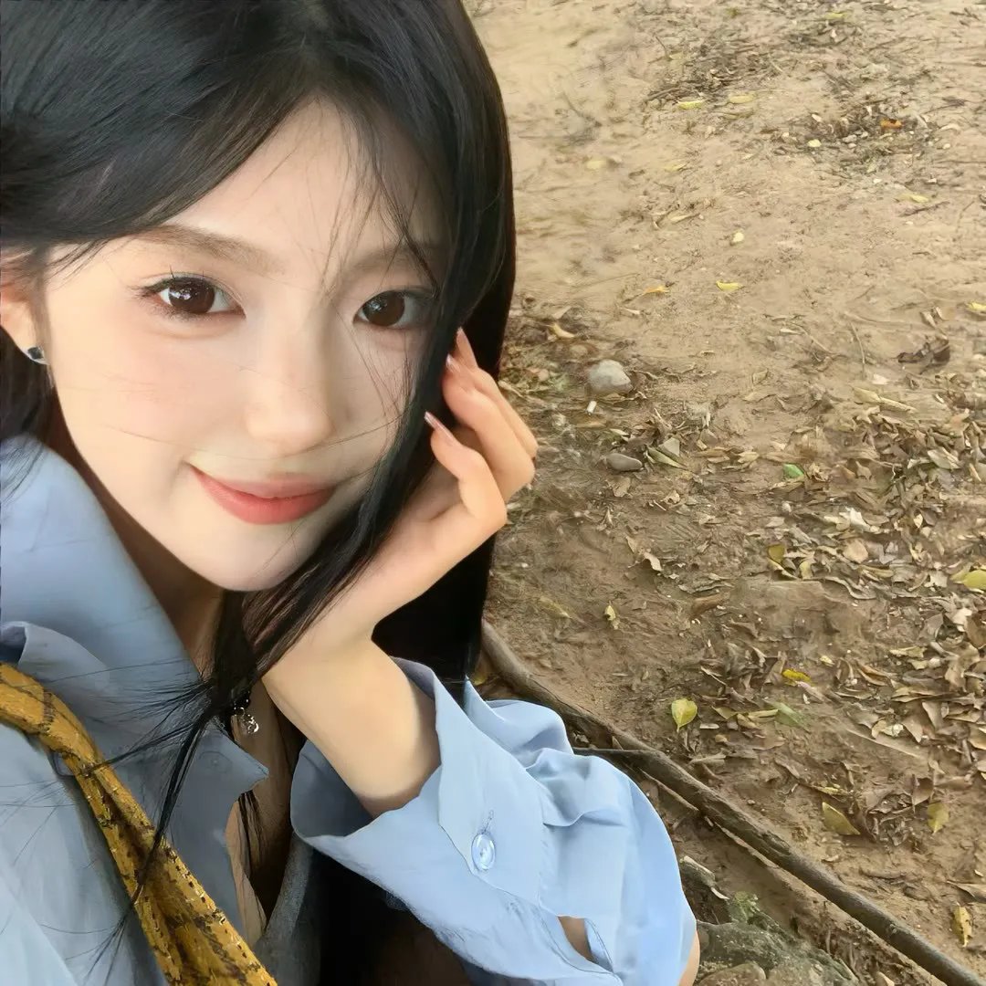 汪星人的奇幻漂流